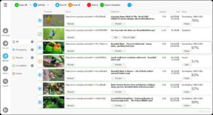 Any Video Downloader Pro for mac free