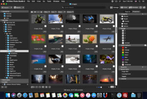 ACDSee Photo Studio Ultimate Torrent For Mac download for free
