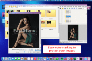 FastStone Image Viewer Torrent For Mac download